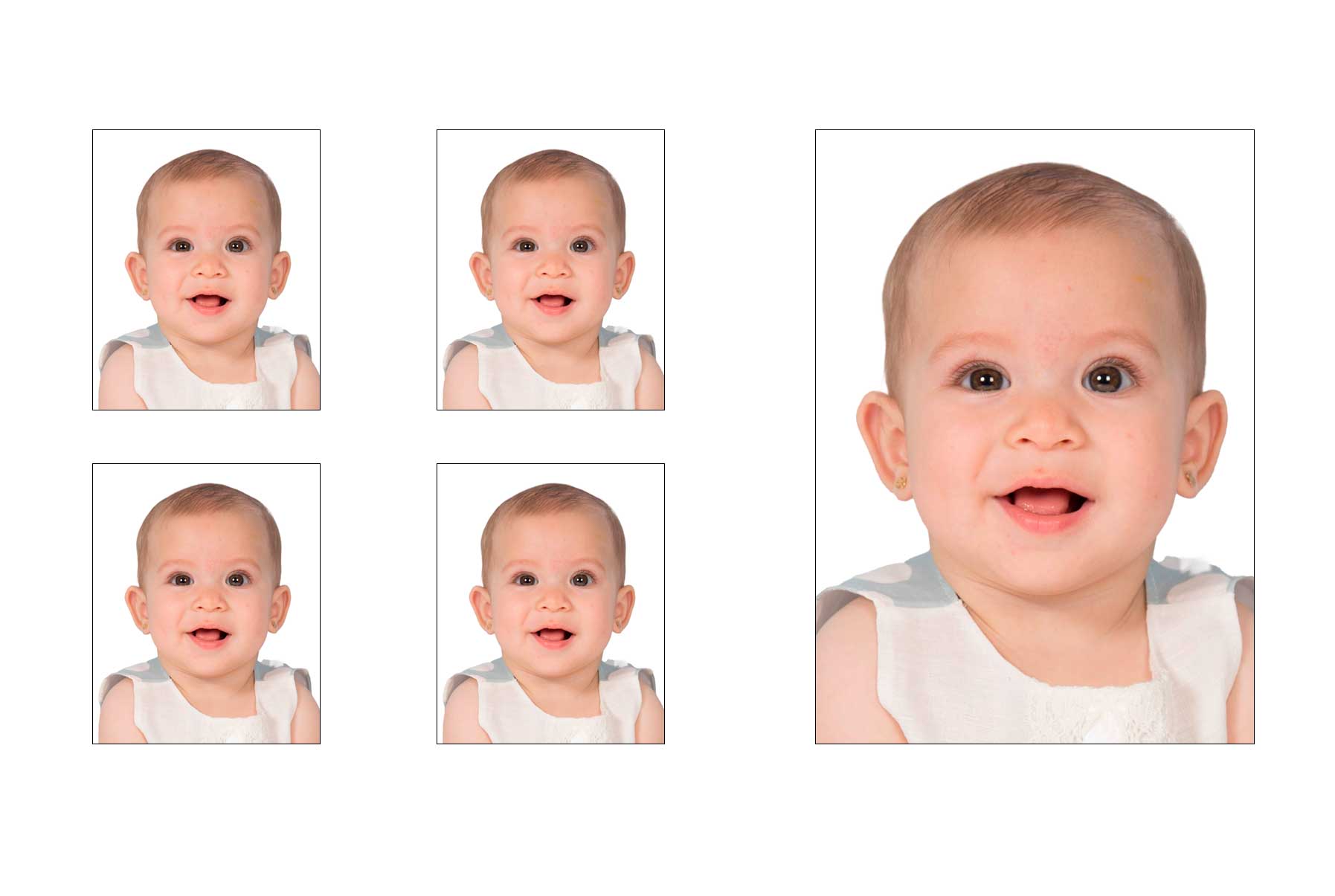 Fotos carnet online preparadas para imprimir